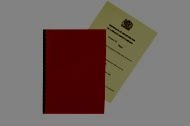 Business Incorporation